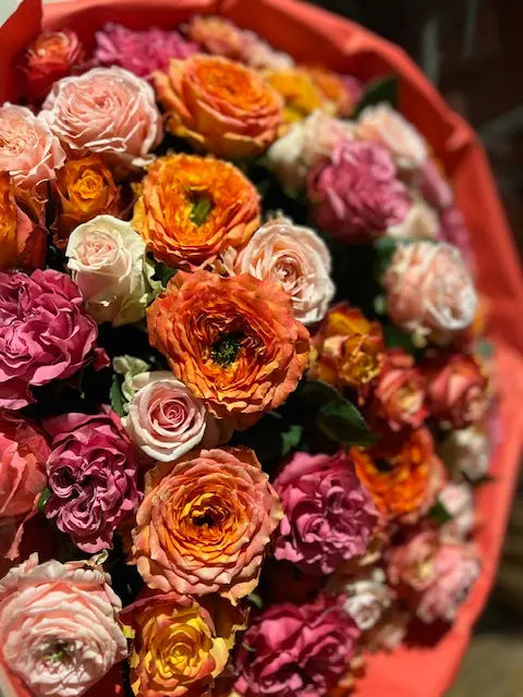 rozen van topkwaliteit